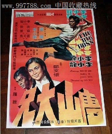 怎么做假奥地利护照模板